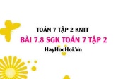 Bài 7.8 SGK Toán 7 tập 2 Kết nối tri thức